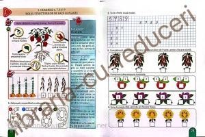 Matematică și explorarea mediului - manual clasa I - Img 5