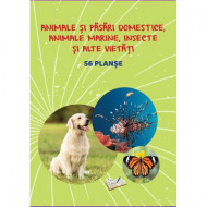 Păsări și animale domestice, animale marine, insecte și alte vietăți - 56 planșe