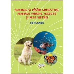 Păsări și animale domestice, animale marine, insecte și alte vietăți - 56 planșe