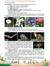 Ştiinţe ale naturii - Caiet de lucru, clasa a IV-a