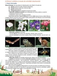 Ştiinţe ale naturii - Caiet de lucru, clasa a IV-a - Img 4