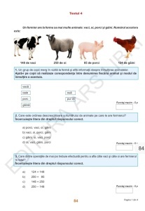Teste de evaluare nationala clasa a II-a Comunicare in limba romana, Matematica si Explorarea mediului. Clasa a II-a - Img 6