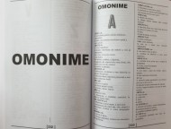Dicționar - Sinonime, Antonime, Omonime, Paronime