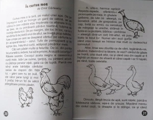 O Lume Minunată (lecturi de vacanță) - Clasa a II-a - Img 6