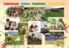 Planse cu Anotimpurile