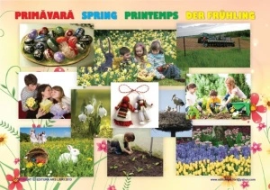 Planse cu Anotimpurile - Img 2