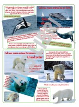 Animale uriase