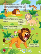 Descoperă jungla-Caiet de activități cu informații, autocolante și modele 3D
