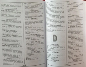 Dicționar - Sinonime, Antonime, Omonime, Paronime - Img 8