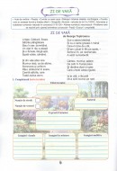 În caruselul vacanței fișe interdisciplinare clasa III