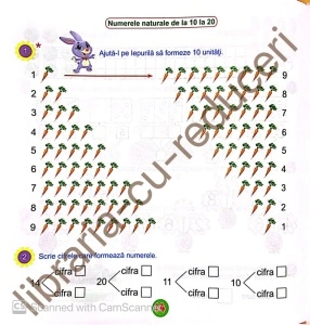 Matematică și explorarea mediului - Mă pregătesc pentru concurs ! Clasa Pregătitoare - Img 5