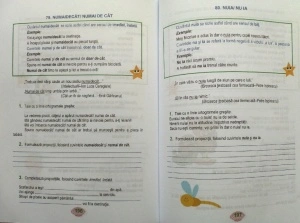 Ortografia și punctuația la clasele primare și gimnaziale editura Ars libri - Img 6