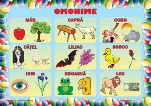 Planșe Omonime - Img 2