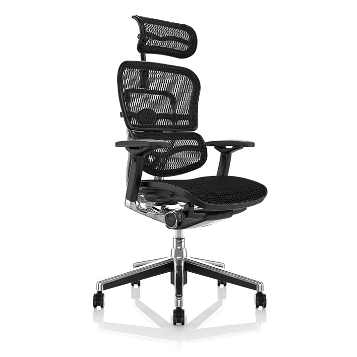 Scaun de birou - ERGOHUMAN2 PDH ULTRA BLACK FRAME W09-01+ALU BASE - precomanda 7-12 zile (Termen de livrare: 7 zile)