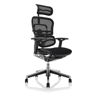 Scaun de birou - ERGOHUMAN2 PDH ULTRA BLACK FRAME W09-01+ALU BASE - precomanda 7-12 zile