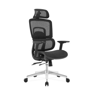 Ergodynamic Gary H - Scaun de birou - Full mesh - black, translatie sezut, brate 3D - Img 1