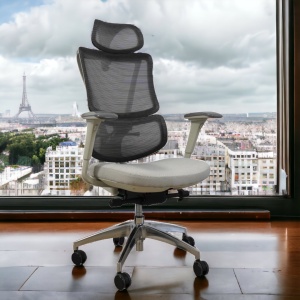 Ergodynamic Star Plus - Light Grey - Scaun de birou 4D, sezut translatie, suport lombar ajustabil 7 cm - Img 1