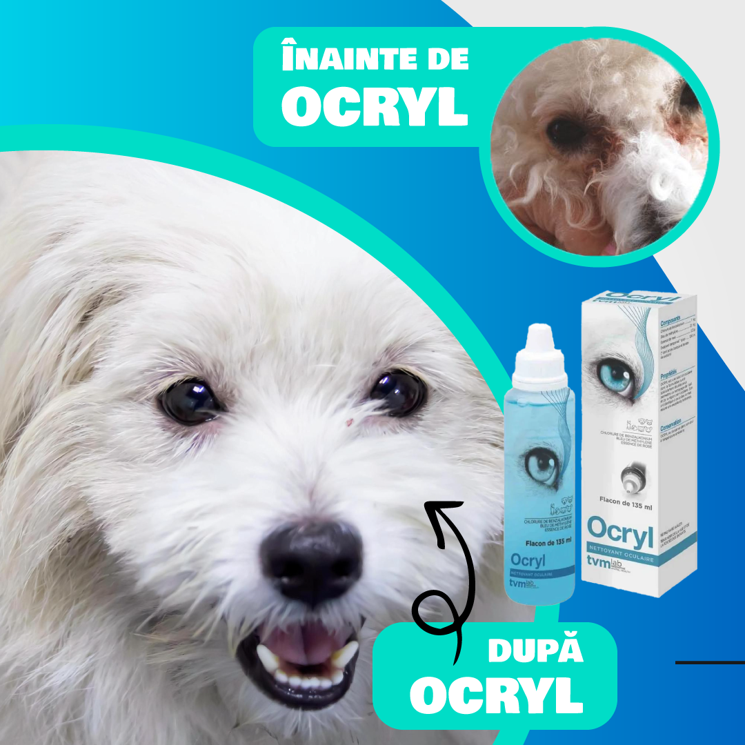 Petele lacrimale la câini