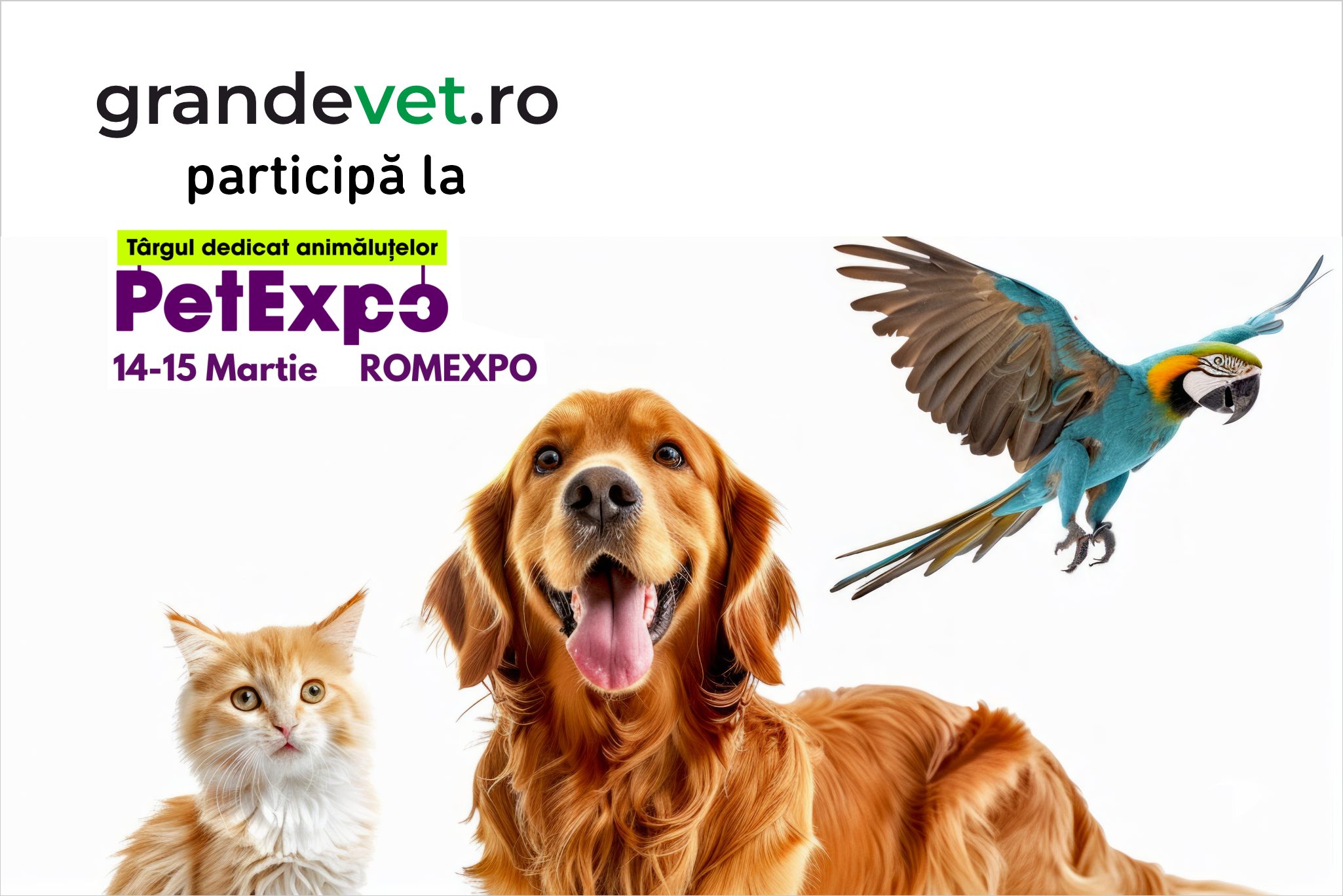 GrandeVet participă la PetExpo 2026, Romexpo București – Standul 64