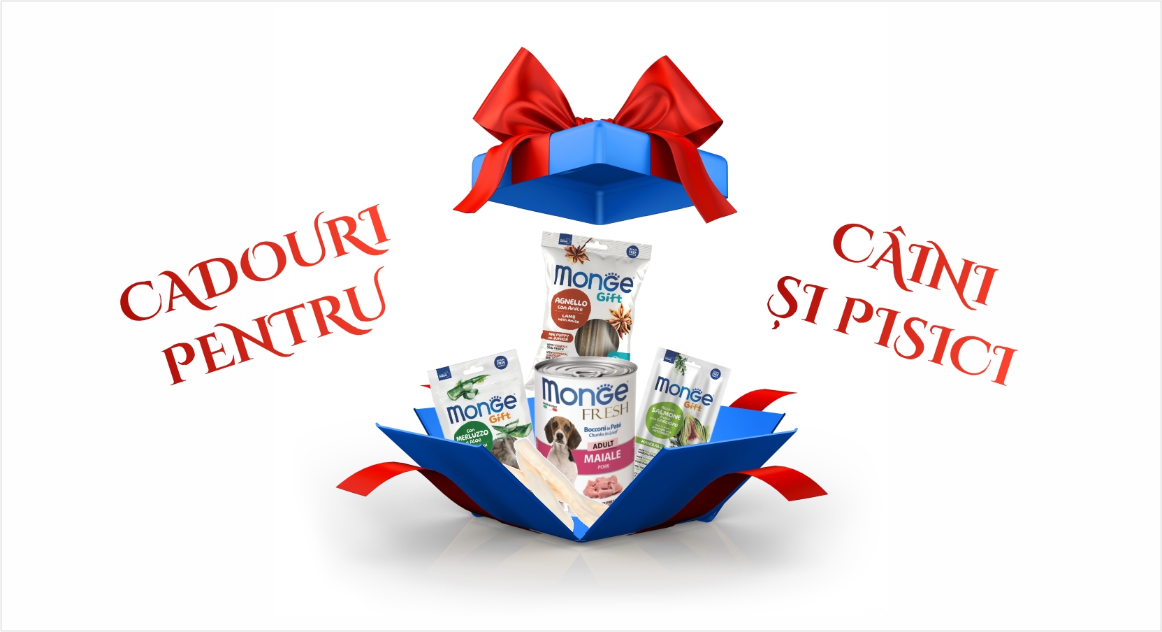 Cadouri de sărbători pentru câini și pisici – idei inspirate pentru prietenii noștri necuvântători