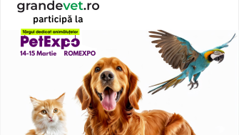 GrandeVet participă la PetExpo 2026, Romexpo București – Standul 64