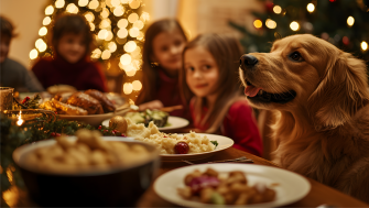 Sărbători cu animale de companie - Ghid complet pentru Crăciun și Revelion în siguranță