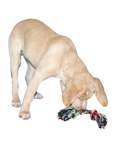 Jucărie pentru câini Kerbl, Bumbac/Iuta, Multicolor cca 48 cm - Img 2