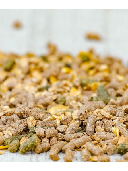 Furaj combinat pentru cai, pelete Versele Laga Traditional Mix 20 kg - Img 2