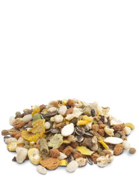 Hrana pentru hamsteri Crispy Muesli- Versele Laga 20 kg - Img 2