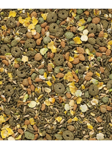 Furaj complet pentru porcusorii de guineea, Cavia Versele-Laga 500g 461612 - Img 2