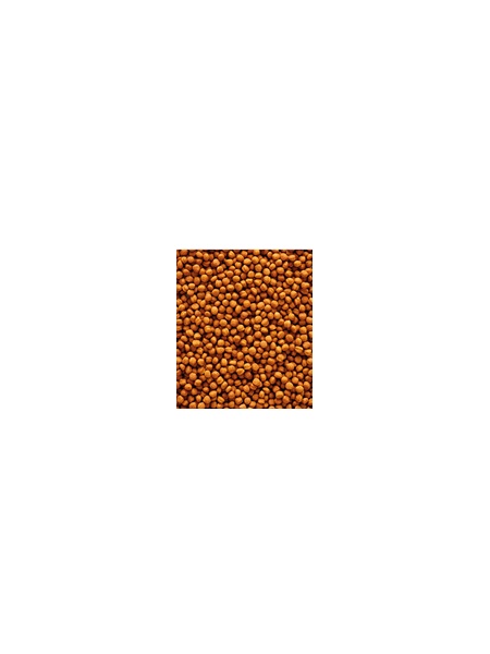 Hrana de intretinere pentru pasari exotice NutriBird T16 10kg - Img 2