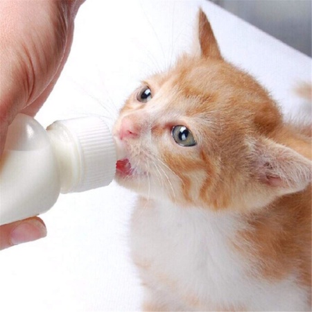 Bidon alaptare pet 120 ml - Img 3