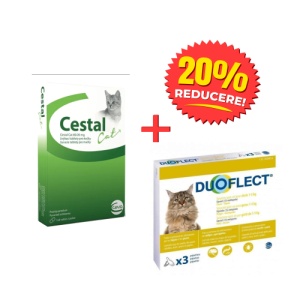 Pachet deparazitare internă și externă pisici – Cestal + Duoflect Cat