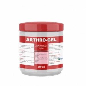 Arthro gel 250 ml
