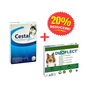 Pachet deparazitare internă și externă câini talie mica – Cestal + Duoflect M