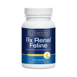 Rx Renal Feline 120 capsule