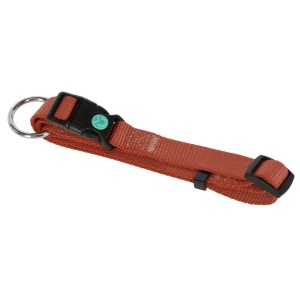 Zgarda ajustabila portocalie Miami Kerbl 10 mm/20-35 cm 82061