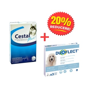 Pachet deparazitare internă și externă câini talie mica – Cestal + Duoflect S