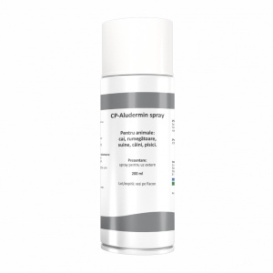 Aluminium spray - 200 ml