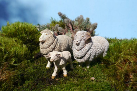 Papo Figurina Oaie Merinos - Img 2