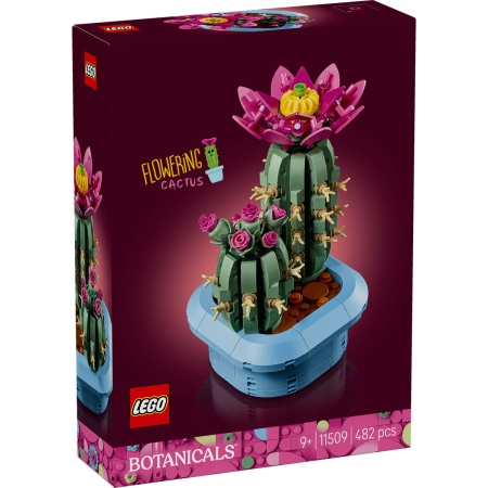 Cactus înflorit - Img 2