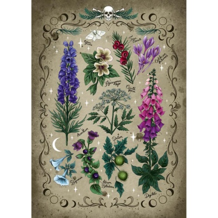 Ravensburger - Puzzle plante otravitoare 1000 piese - Img 2