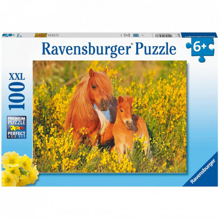 Puzzle Ponei, 100 Piese - Img 2