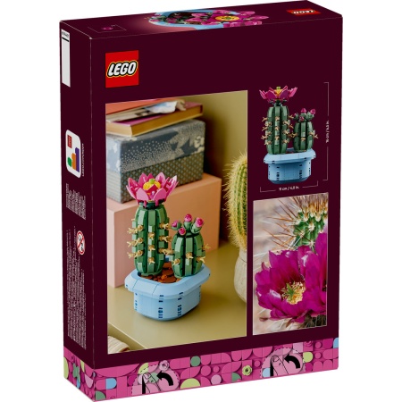 Cactus înflorit - Img 3