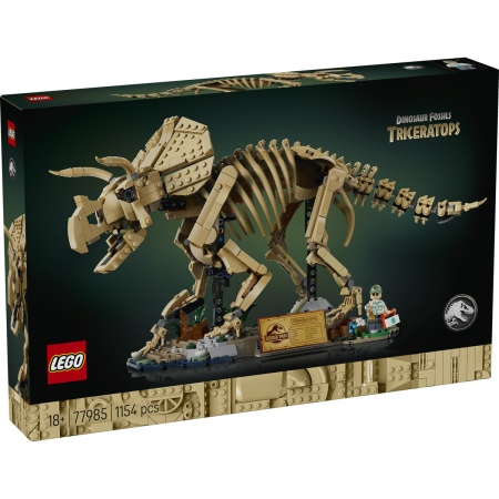 Fosile de dinozaur: Triceratops - Img 2