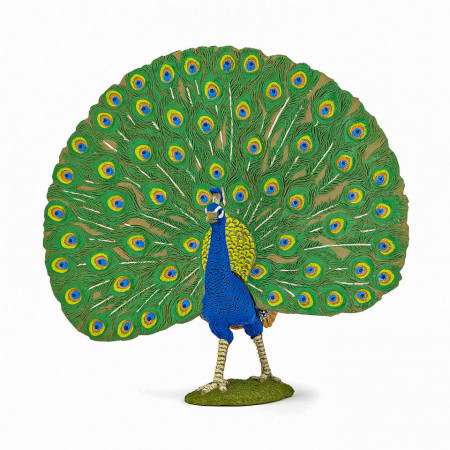 Papo Figurina Paun - Img 2