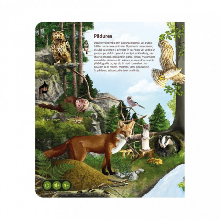 Raspundel Istetel - Carte Lumea animalelor - Img 2