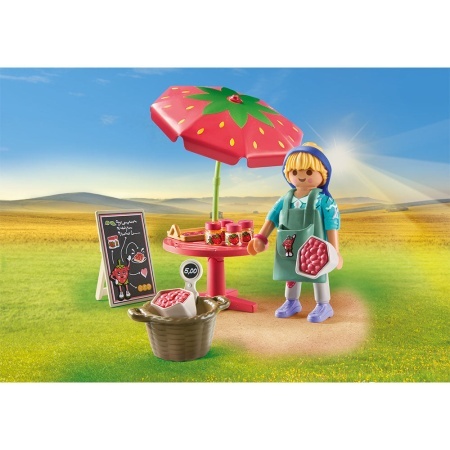 Playmobil - Stand Pentru Vanzare De Gemuri - Img 3