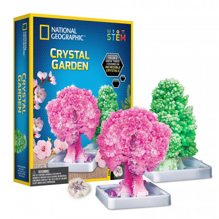 National Geographic - Kit Creativ Gradina De Cristale - Img 2