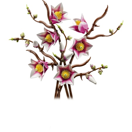 Ramuri de magnolie - Img 4